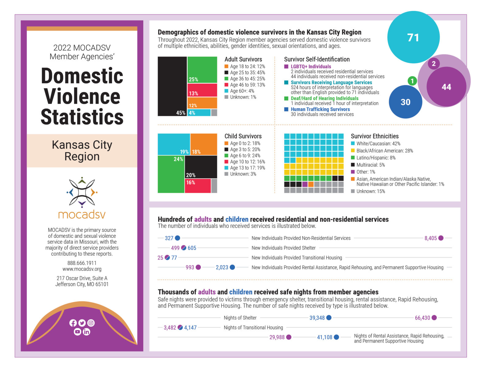 Kansas City Region Domestic Violence Statistics