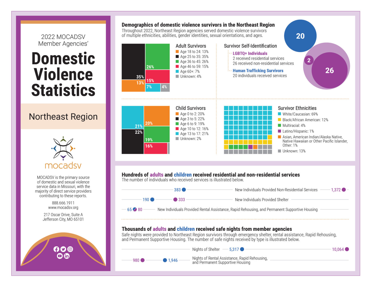 Northeast Domestic Violence Statistics