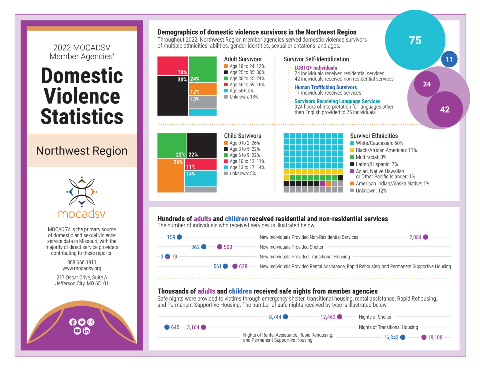 NW Domestic Violence Statistics