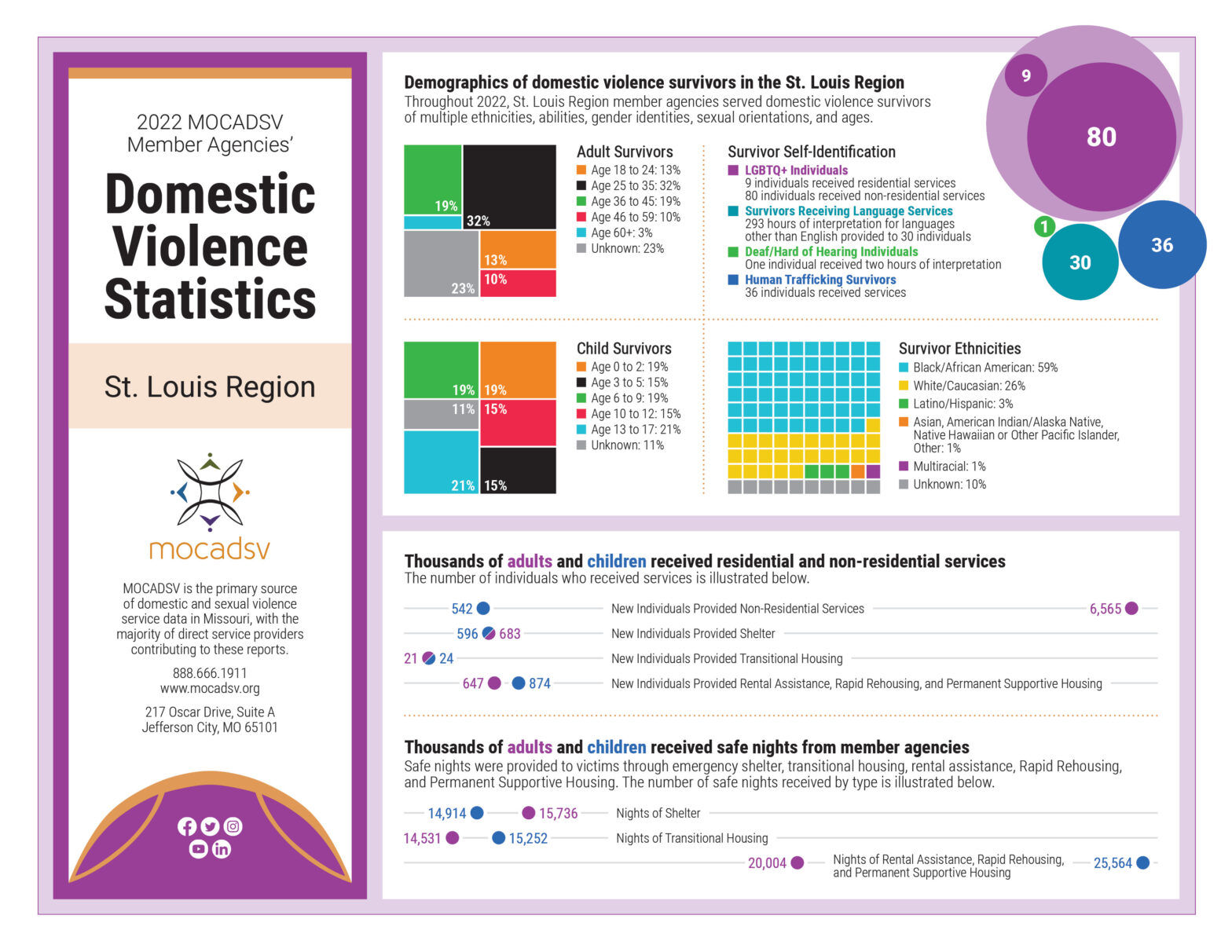 St. Louis Region Domestic Violence Statistics