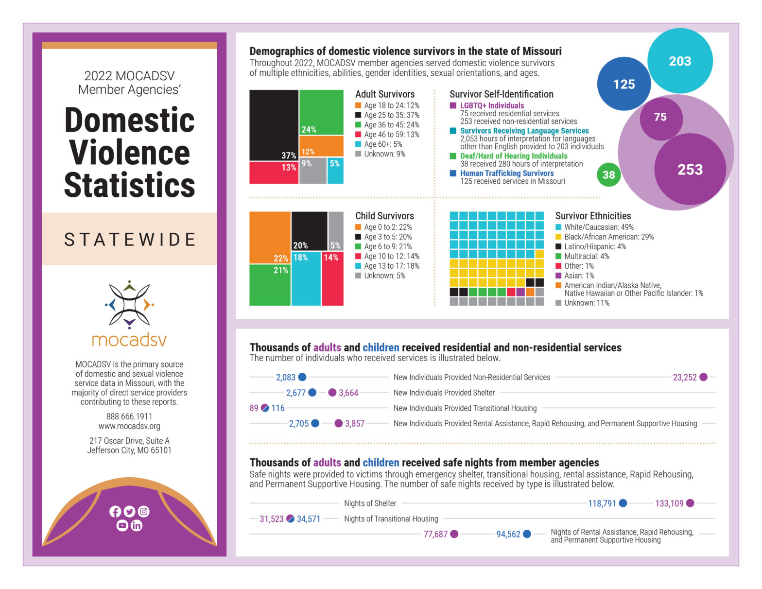 Statewide Domestic Violence Statistics