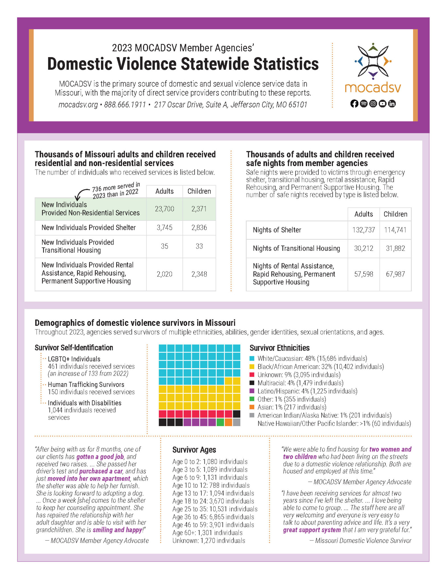 Missouri 2023 Domestic Violence Service Provider Statistics
